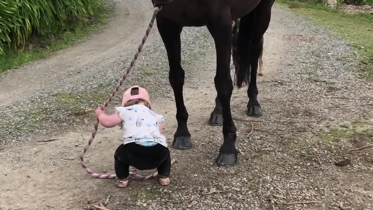 Little_Girl_Leads_Horse____ViralHog(1080p)