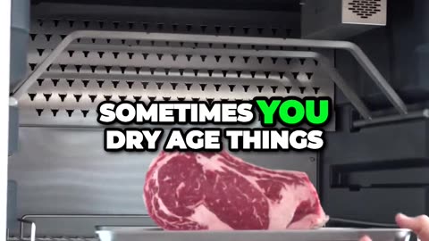 Unbelievable Four-Year-Old Forgotten Meat Experiment Reveals Mind-Blowing Results!