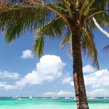 The Most Wonderful Beach In The World #shorts