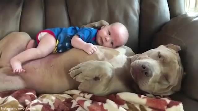 A baby sleeping with a big Pitbull so cute