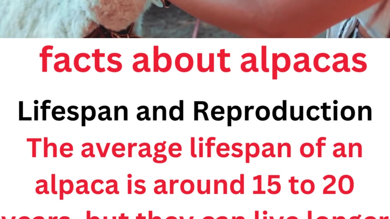 facts about alpacas...6/11