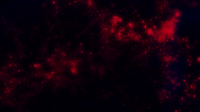 BIG BIG BANG