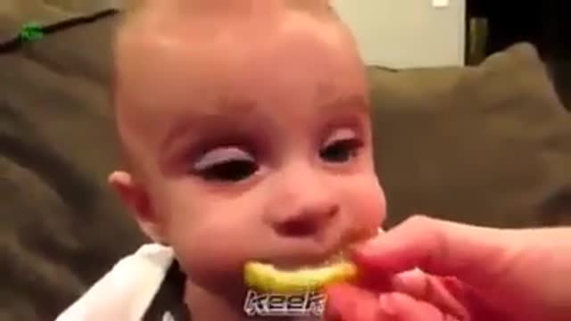 Babies Eating Lemons for the 1st time