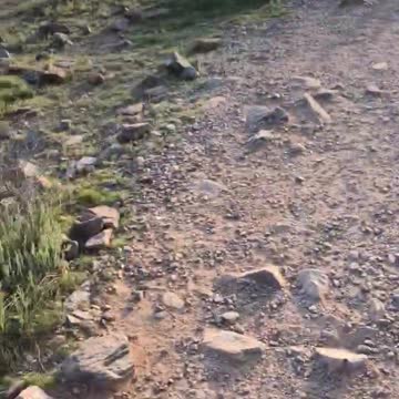 the Sonoran Preserve in Scottsdale, AZ