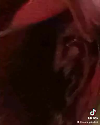 "THE ROSE II" FEATURING "THE ROSE III" COMING SOON