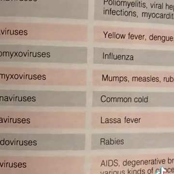 What actually is Covid?