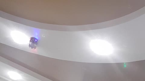 toy car rides on the ceiling