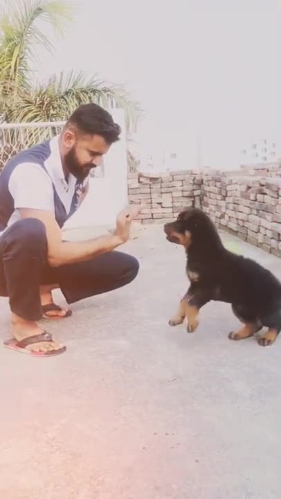 .Training from tiklok @sunny_o01 #shorts