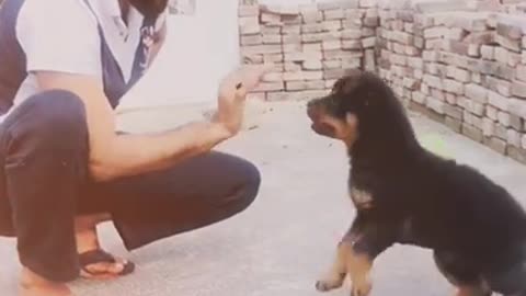 .Training from tiklok @sunny_o01 #shorts