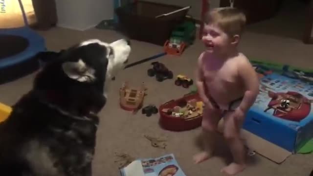 funny dogs and childran