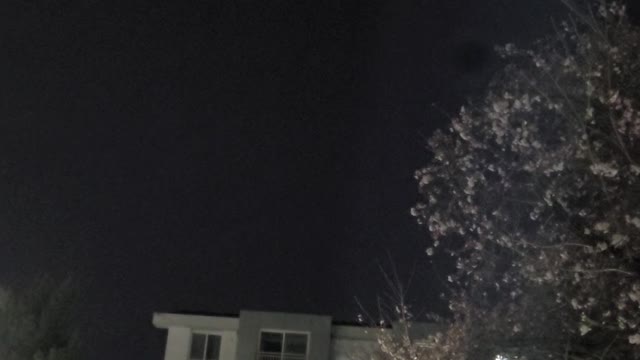 cherry & moon
