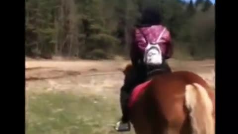 Pretty fast horse