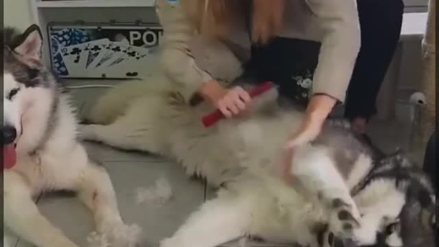 Only they who fulfill their duties in everyday matters will fulfill them on great occasions.