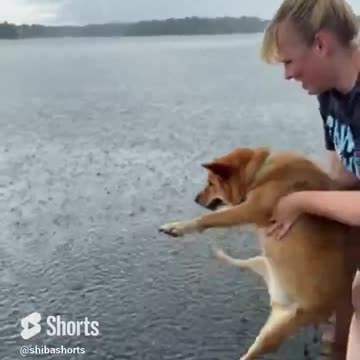 Sometimes You Just Need to Swim Through the Storm