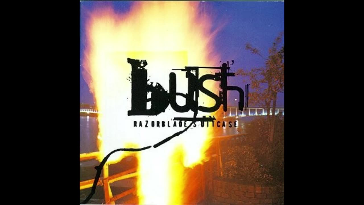 Bush - Swallowed