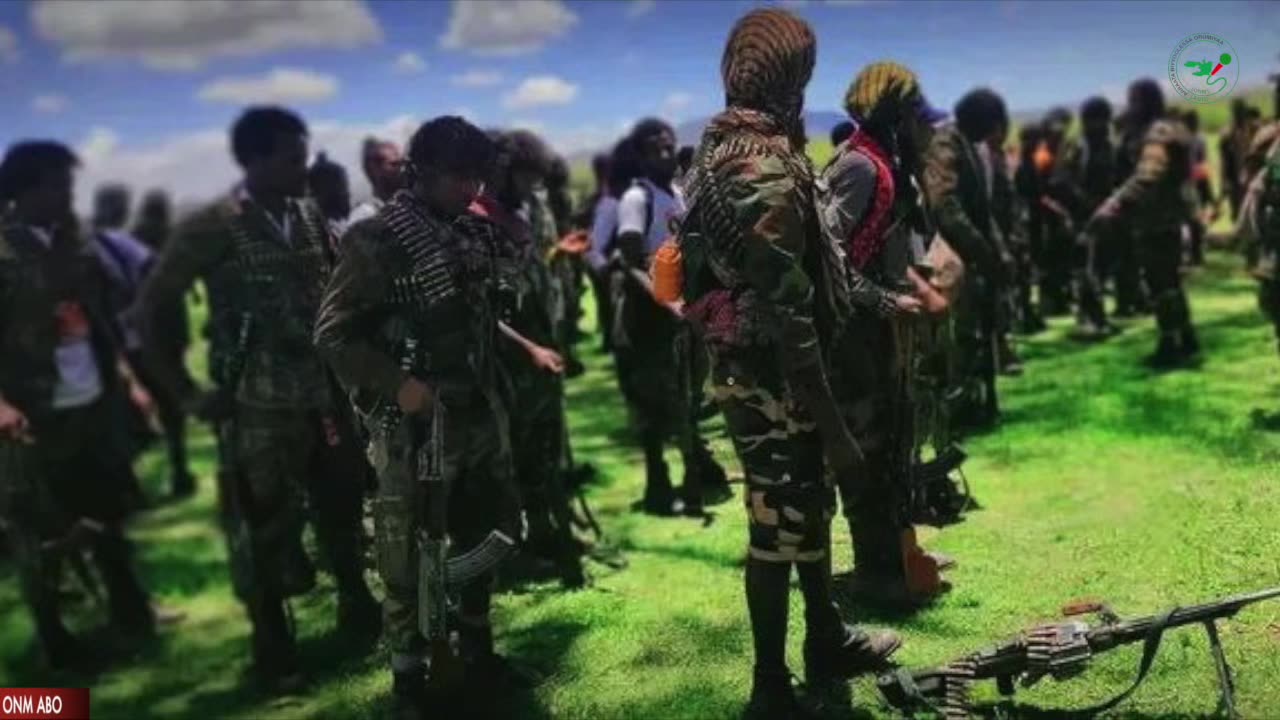 Oduu Tarkaanfii ONM-ABO Sadaasa 7-2024 itti dhiyaadhaa!