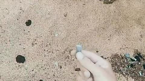 First Time I Will Save A Fish