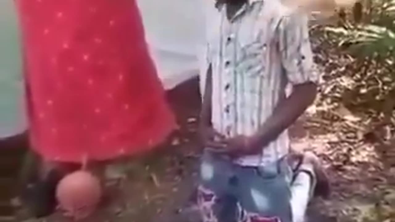 Cured With Bear Trap