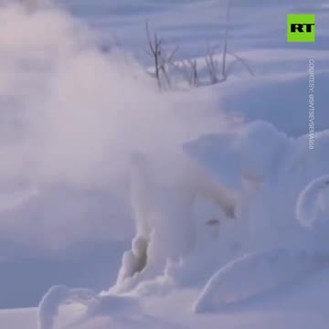 Bizarre Natural Phenomenon of Wildfires that Burn Beneath the Snow and Ice