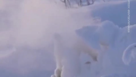 Bizarre Natural Phenomenon of Wildfires that Burn Beneath the Snow and Ice