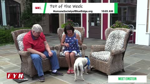 PET OF THE WEEK - Meet Einstein