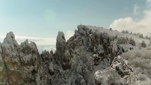 snow covering the top of a mountain forest