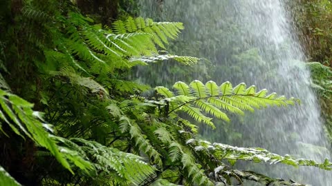 🌊 Classics in Nature: Exploring "The Wind in the Willows," Chapter 1 - "The River Bank" 🐾