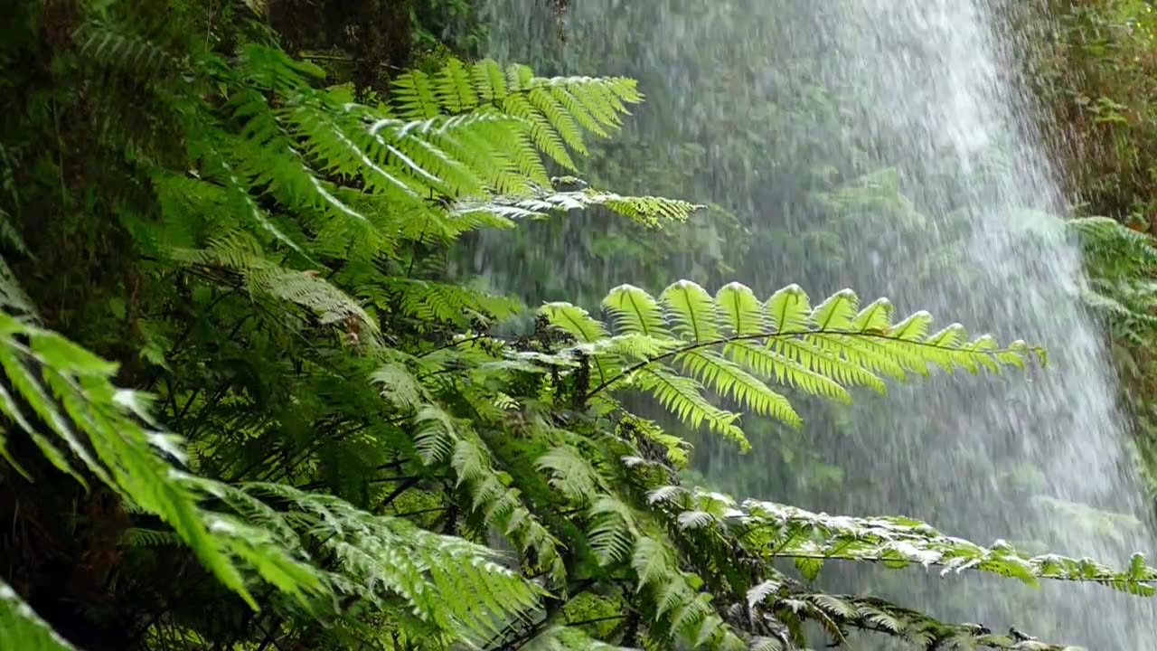 🌊 Classics in Nature: Exploring "The Wind in the Willows," Chapter 1 - "The River Bank" 🐾