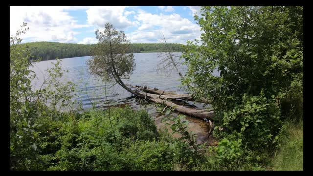 Algonquin Park