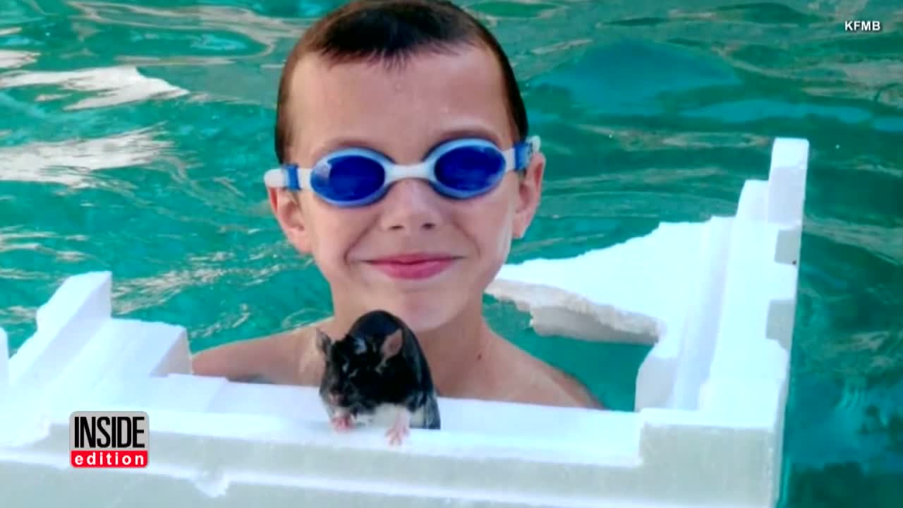 Family Blames Store For Pet Rat That May Have Killed Their 10-Year-Old Son