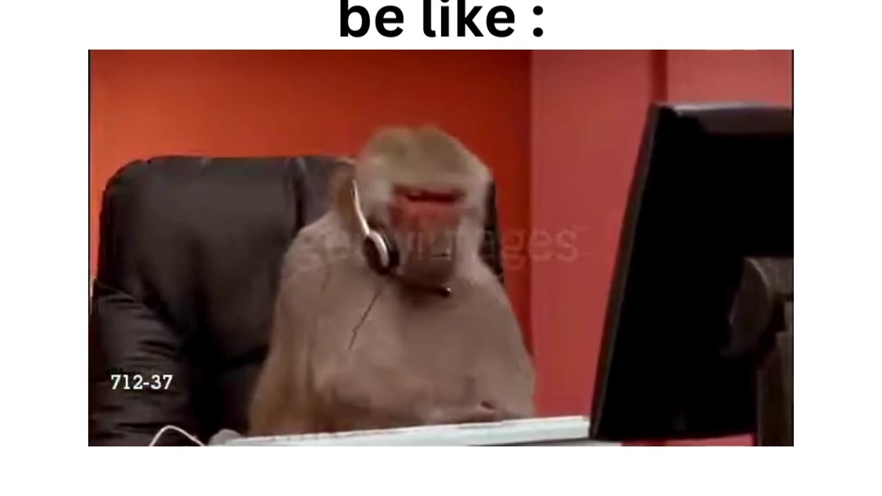 Monkey using computer meme X comparing monkey to my frnd