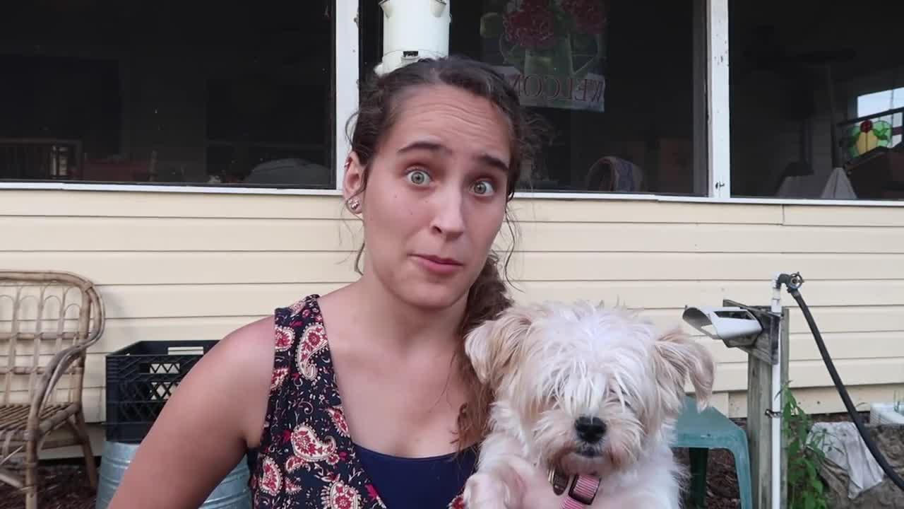 My Dogs' First Time To The Beach