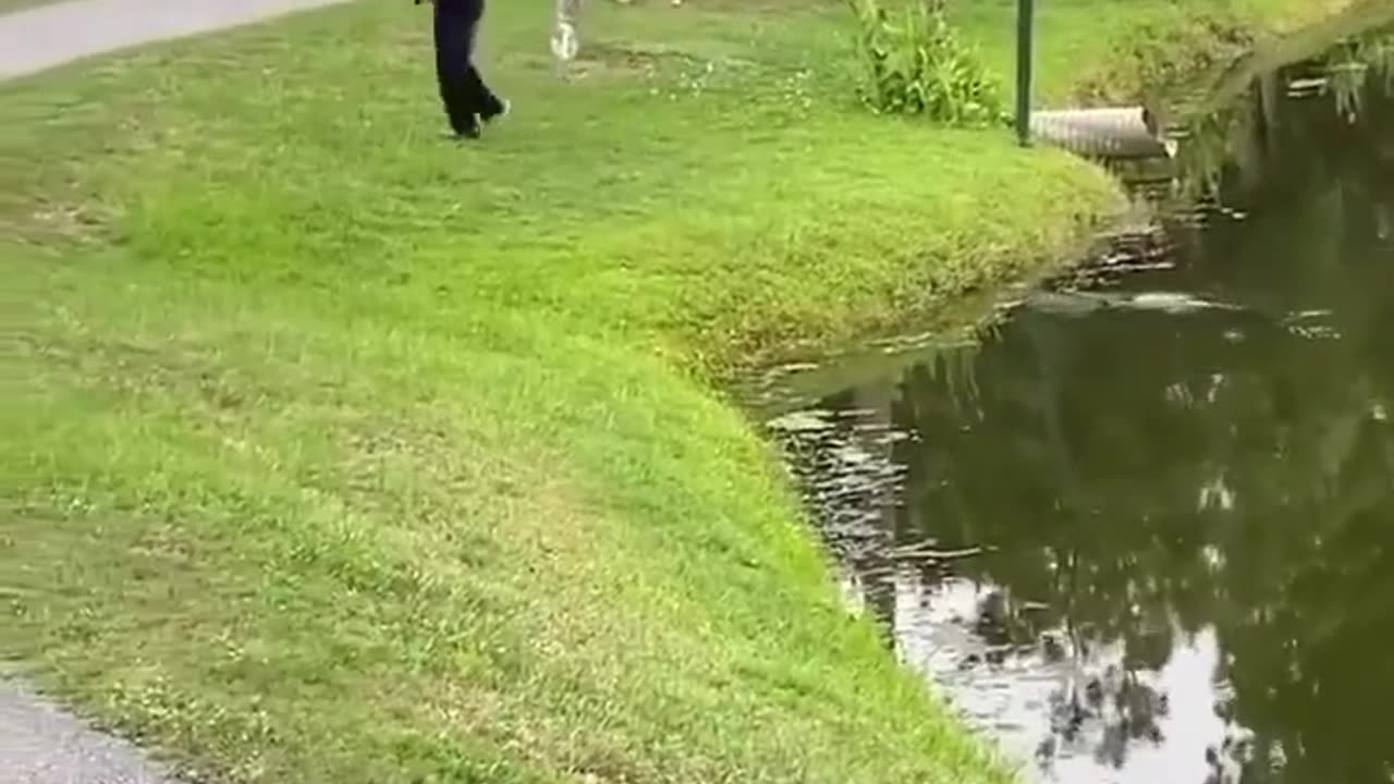 Imagine your child playing near the water! These gators need to be controlled!