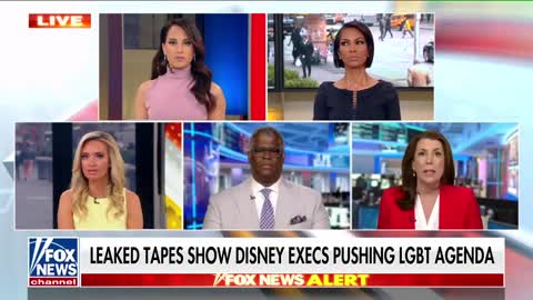 Tammy Bruce rips Disney_ Everyone should reject this
