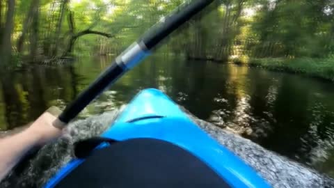 💩 Kayaking In The Swamp 💩