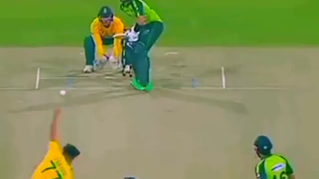 cricket fans-video cricket lovers-video #cricket #cricketlover