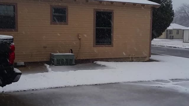 Snow In Killen Texas