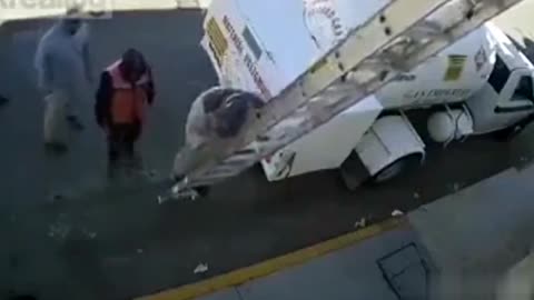 Ladder cannot handle the weight
