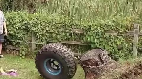 Uprooting a tree using a tire and physics