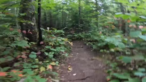 Take a Hike