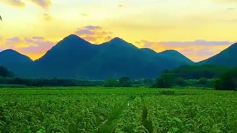 Scenery mountain sunset