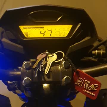 Festejar es mi pasión