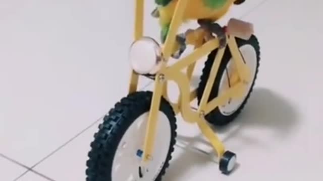 ####funny short videos of birds###