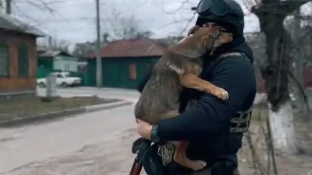 A #Ukrainian soldier feeds a stray dog, the dog then cuddles the soldier.