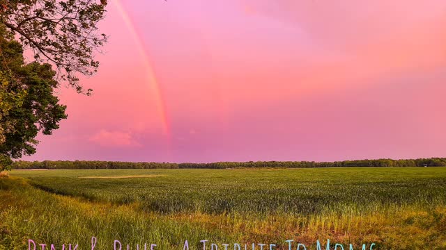 Pink & Blue- A Mother's Day Tribute