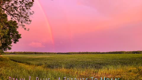 Pink & Blue- A Mother's Day Tribute