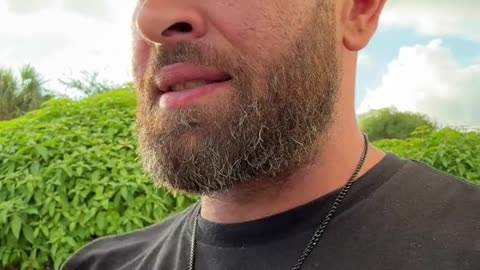 Ant