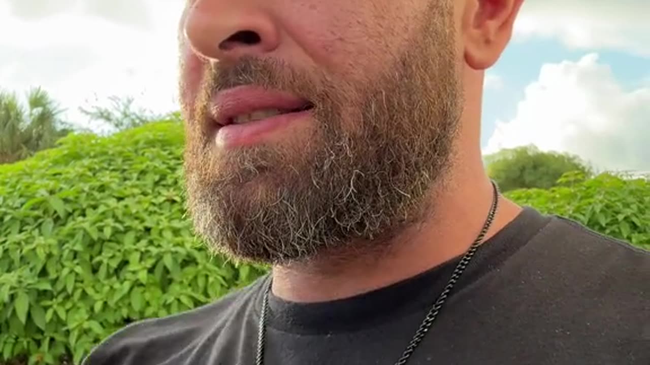 Ant