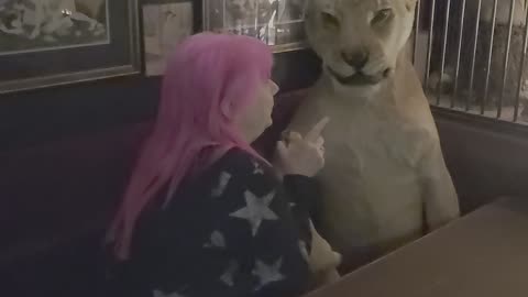 My friend is talking to a lioness