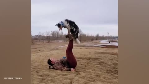 When your dog is like your sibling 🤣 Funny Dog and Human